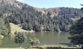 Trail Walking Le Valtin - Lac Vert - Lac du Forlet - Gazon du Faing - Photo 13