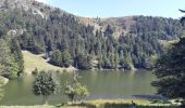 Excursión Senderismo Le Valtin - Lac Vert - Lac du Forlet - Gazon du Faing - Photo 13