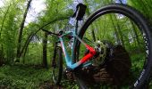 Trail Mountain bike La Hulpe - La_Hulpe_20210512_094729 - Photo 10