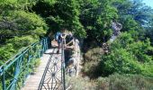 Trail Walking Val-d'Aigoual - vers les cascades d orgon - Photo 1