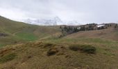 Trail Walking Theys - PINCERIE EN BOUCLE DEPUIS PIPAY - Photo 11