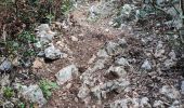Trail Walking Toulon - reco faron 2 - Photo 1