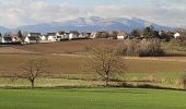Trail Walking Heimsbrunn - Heimsbrunn - Photo 1