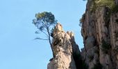 Trail Walking Cassis - SityTrail - Les 3 Calanques - Cassis - Photo 20