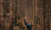 Randonnée Marche Parc Hosingen - Traversée de la vallée de la Lëtschbaach à Hoscheid - Photo 2