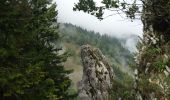 Trail Walking Saint-Pierre-de-Chartreuse - Les Cottaves_les Revols_Chalets du Charmant Som - Photo 5