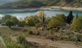 Randonnée Marche Bauduen - bauduen lac de Sainte croix - Photo 10