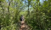 Trail Walking Quinson - Quinson Verdon 13 km - Photo 9