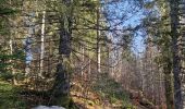 Percorso Marcia Châtelblanc - Le pré-poncet par le petit pont et la forêt  - Photo 3
