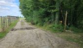 Tocht Stappen Valloire-sur-Cisse - Seillac - Circuit des Bois - Photo 11