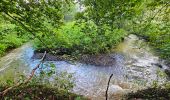 Tour Wandern Hamois - Marche Adeps à Natoye - Photo 3