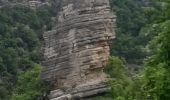 Randonnée Marche Val-Buëch-Méouge - ANTONAVES,  LES GORGES DE LA MEOUGE ,  ROCHER DU CHATEAU o s - Photo 13