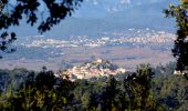 Randonnée Marche Pierrefeu-du-Var - les Baisses - Photo 15