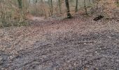 Trail Walking Vouthon-Haut - repérage bois de Greux  - Photo 2