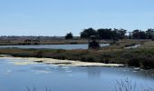 Tour Wandern Noirmoutier-en-l'Île - Randonnée nord Noirmoutier  - Photo 3