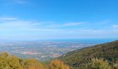 Randonnée Marche L'Albère - ullat - san-cristau / retour par la piste  - Photo 17