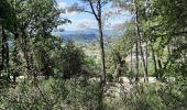 Tour Wandern Lorgues - Lorgues - sentier découverte Saint-Ferréol - Photo 4