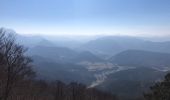 Tocht Stappen Vassieux-en-Vercors - Vassieux 03 03 22 - Photo 5