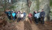 Trail Walking Fontainebleau - carrefour Acheté 3 février 2023 - Photo 4