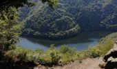 Excursión Senderismo Marcillac-la-Croisille - Le jardin de Bardot - Photo 1