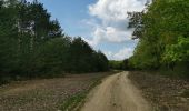 Trail On foot Schwepnitz - Walschkenweg - Photo 1