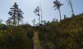 Trail Walking Ponet-et-Saint-Auban - Ponet-et-St-Auban - Montagne de Desse - Marignac - Photo 14