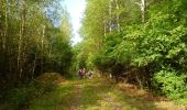 Tocht Stappen Montmain - 20220915-Montmain  - Photo 8