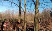 Trail Horseback riding Manhay - oster samré chloro oster - Photo 4