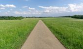 Tour Zu Fuß Gomadingen - Traufgang Wiesenrunde - Photo 3