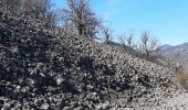 Tour Wandern Vallées-d'Antraigues-Asperjoc - Château de Craux par Genestelle,  - Photo 10