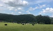 Trail Walking Manhay - Les Deux-Rys - Photo 4