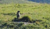 Tocht Stappen Peisey-Nancroix - Peisey Vallandry Les Rossets Col d'Entreporte  - Photo 16