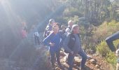 Trail Walking Puget-sur-Argens - la lieutenante - Photo 1