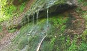 Randonnée Marche Champagney - Canal souterrain de la Haute-Saône - Photo 4