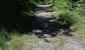 Trail Walking Pontgibaud - LA CHEIRE DE PONTGIBAUD - Photo 9
