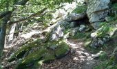 Tocht Stappen Céret - pic des salines depuis fontfrede via coll del pou de la neu . pic des salines .coll des cirerers  . fontfrede - Photo 10