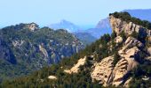 Excursión Senderismo Ollioules - SityTrail - 1041295 - le-destel-grotte-des-joncs - Photo 20