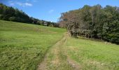 Tour Wandern Dolleren - Dolleren - Abri Graber - Photo 19