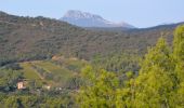 Tocht Stappen La Londe-les-Maures - SityTrail - Notre Dame des Maures-12-02-21 - Photo 5