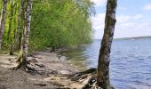 Trail Walking Froidchapelle - La balade du bois du Grand Oupia aux lacs de l'eau d'heure - Photo 11