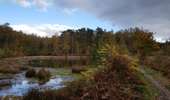 Trail Walking Saint-Ghislain - bois de  Baudour  - Photo 4