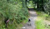 Trail Walking Neufchâteau - Bois d’Ospau - Photo 7