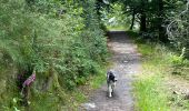 Tour Wandern Neufchâteau - Bois d’Ospau - Photo 7