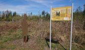 Tour Zu Fuß Willebadessen - Alte Eisenbahn Rundweg A3 - Photo 7