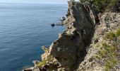 Tocht  Hyères - Porquerolle Ouest le fort du Langoustier  - Photo 6