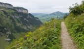 Trail On foot Schwende - Klein-Hütten - Meglisalp - Photo 5