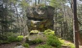 Randonnée  Barr - Barr grotte du druide mont St Odile  - Photo 11