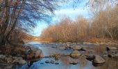 Tour Wandern Ille-sur-Têt - puig pedros  - Photo 3