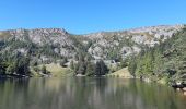 Tour Wandern Urbeis - Col du Wettstein - Hautes-Huttes - Lac du Forlet - Lac Vert - Photo 13