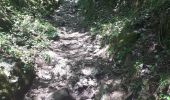 Trail Walking Aiguebelette-le-Lac - l'épine d'Aiguelette - Photo 1